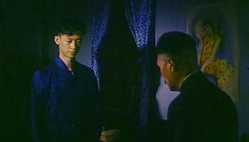 国产剧情片,情感交织，时代印记